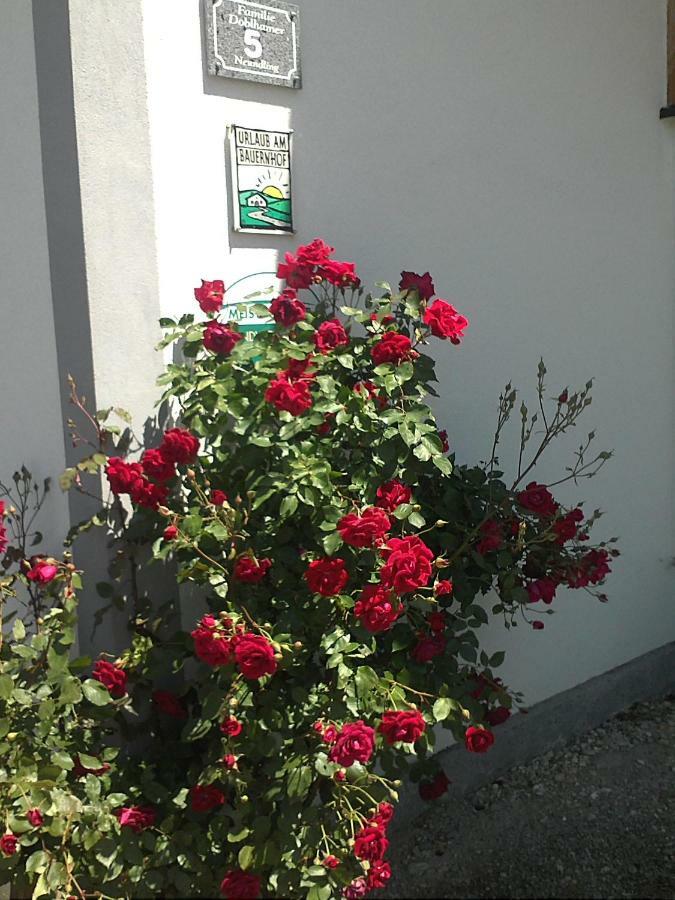 Vila Schnatterhof Lambrechten Exteriér fotografie